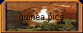 guinea pics