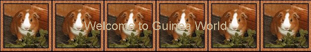 Welcome to Guinea World